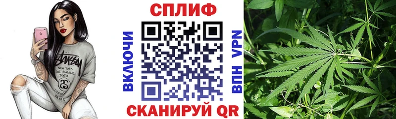 Каннабис SATIVA & INDICA  Ивдель 